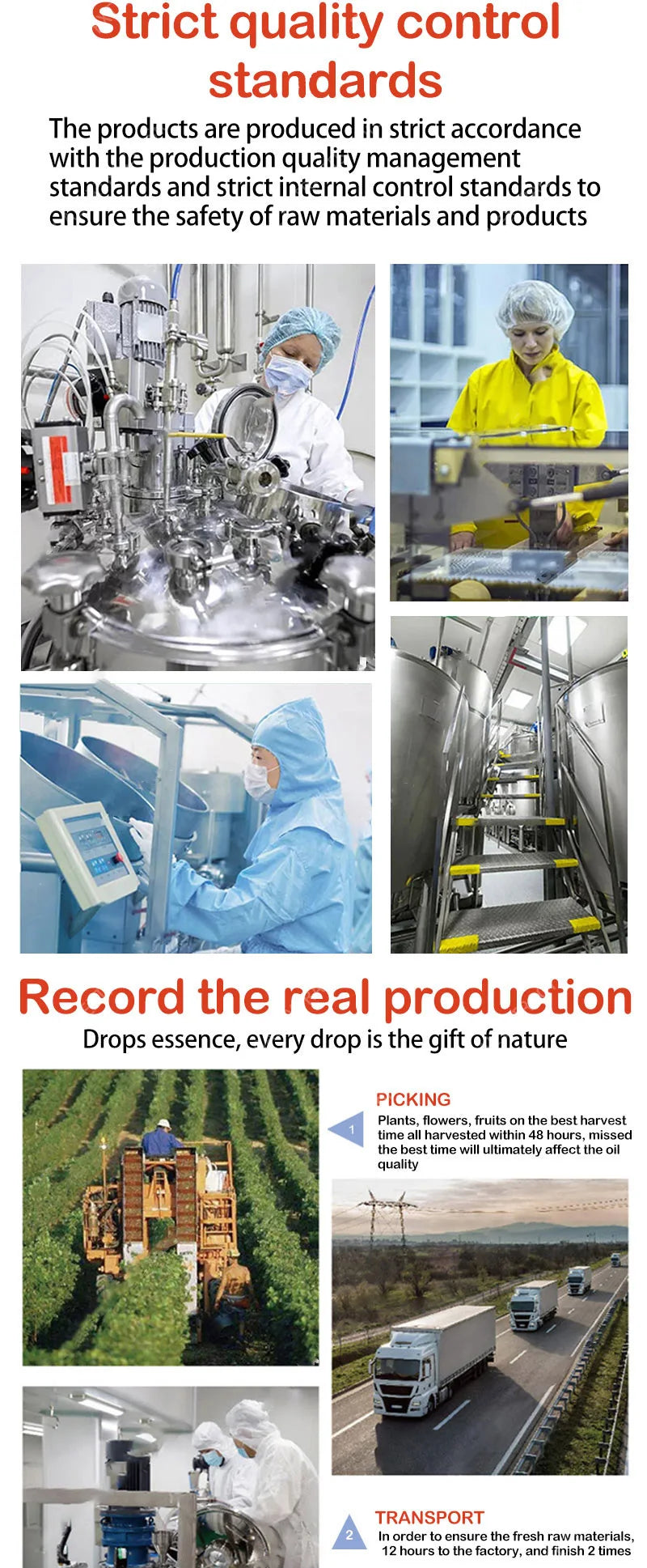 Pore Shrinking Serum – Tightening & Minimizing Essence for Smooth, Firm Skin